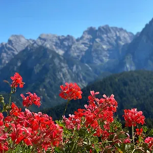 Tre Pini 3*, Danta Italy